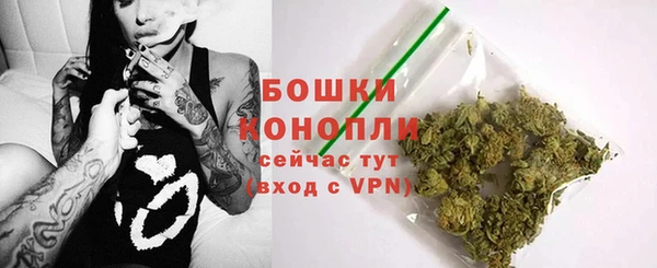PSILOCYBIN Чегем