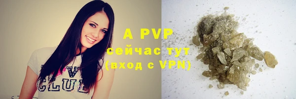 прущие крисы Чекалин
