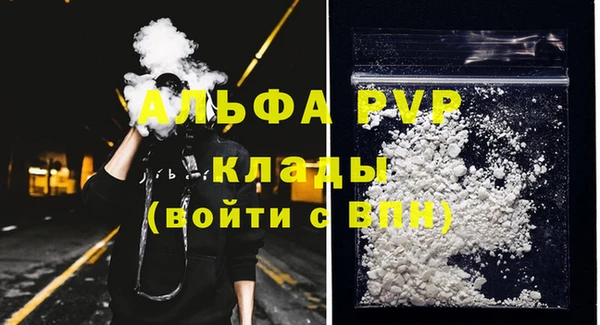 амф Инта