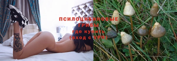 крисы Зеленодольск