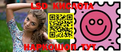 прущие крисы Абинск