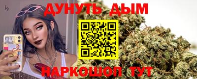 сатива Аргун