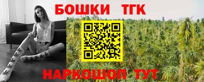 дмт Гатчина