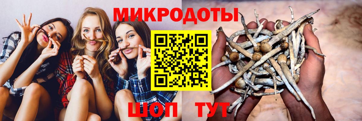 Бошки Шишки Бийск