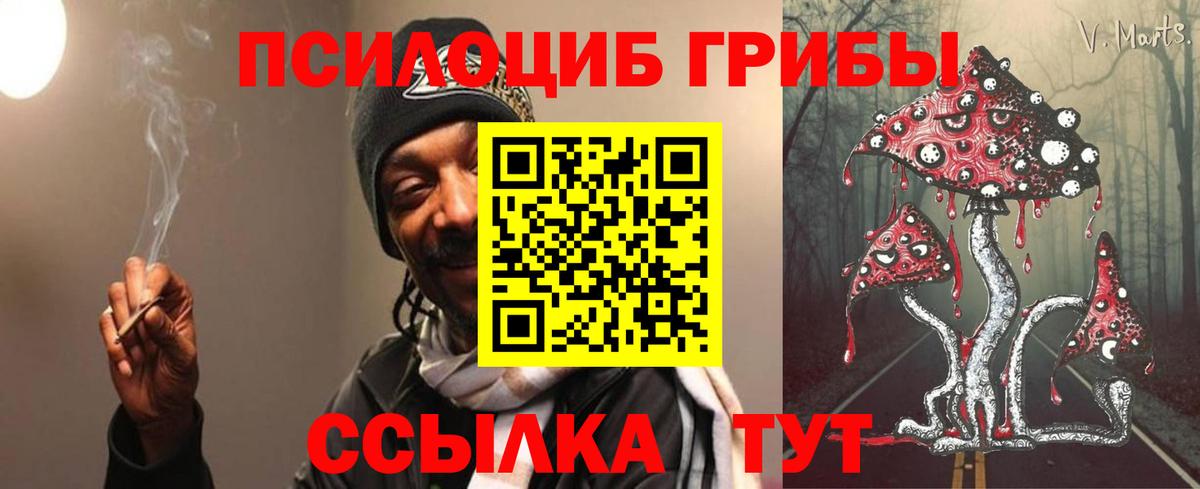 Псилоцибиновые грибы прущие грибы  Бийск 