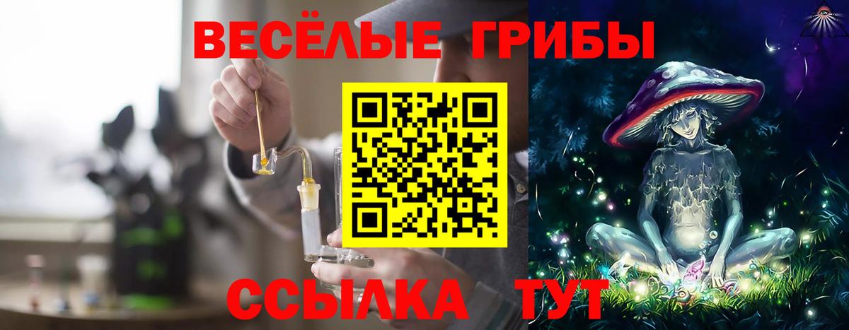 Галлюциногенные грибы Psilocybine cubensis Бийск